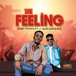 Album cover of The Feeling (feat. Kofi Kinaata)