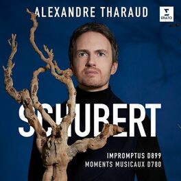 Album cover of Schubert: 4 Impromptus, D. 899 & 6 Moments musicaux