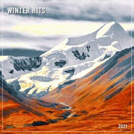 Album cover of Winter Hits 2021