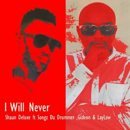 Album cover of I Will Never (feat. Gideon, LayLow, SongzDaDrummer)