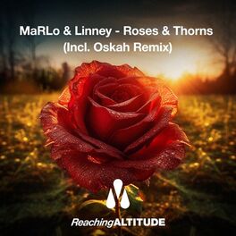 Album cover of Roses & Thorns