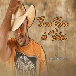 Album cover of Tá na Hora de Voltar