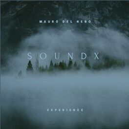 Album cover of Soundx Experience
