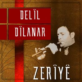 Album cover of Zerîyê