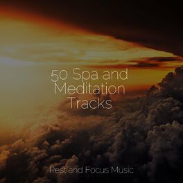 Album cover of 50 Spa and Meditation Tracks