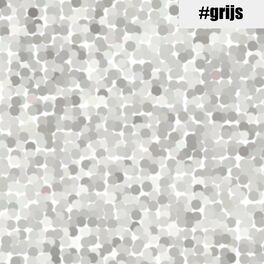 Album cover of Grijs