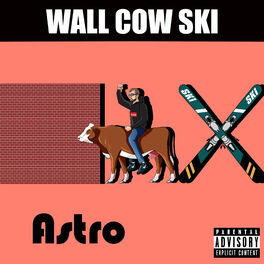 Album cover of Wall Cow Ski