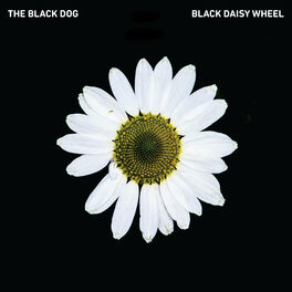 Album cover of Black Daisy Wheel
