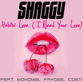 Album cover of Habibi Love (I Need Your Love) (feat. Mohombi, Faydee & Costi)