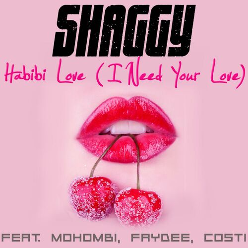 Shaggy - Habibi Love (I Need Your Love) (Feat. Mohombi, Faydee.