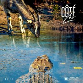 Album cover of Côté Zoo