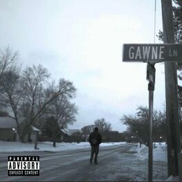 Album cover of Gawne Lane