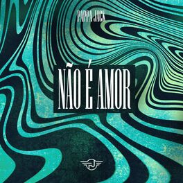 Album cover of Não é Amor