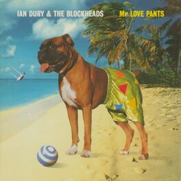 Album cover of Mr Love Pants