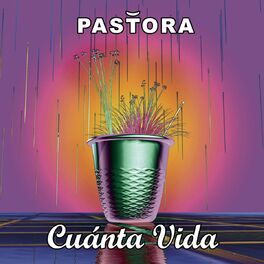 Album cover of Cuanta vida