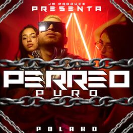 Album cover of Perreo Puro