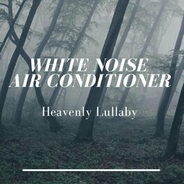 Album cover of White Noise Air Conditioner