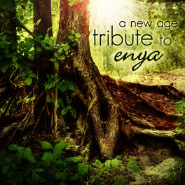 Album cover of A New Age Tribute to Enya