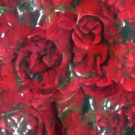 Album cover of roses are red (feat. franky)