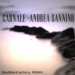 Album cover of Carnale (feat. Andrea Sannino)