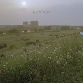 Album cover of Wildflower