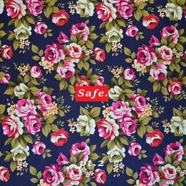 Album cover of Safe, Pt. 2
