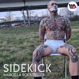 Album cover of Sidekick