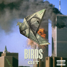 Album cover of Birds (feat. Git)