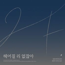 Album cover of Can't Believe The Break Up