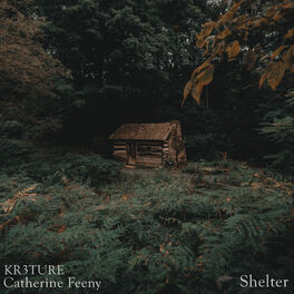 Album cover of Shelter