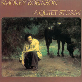 Album cover of A Quiet Storm