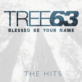 Album cover of Blessed Be Your Name - The Hits
