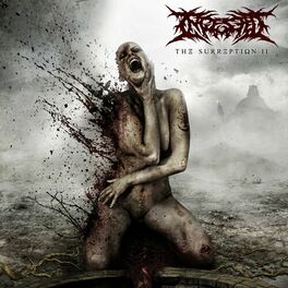 Album cover of The Surreption II