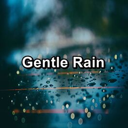 Album cover of Gentle Rain