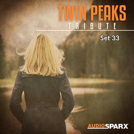 Album cover of Twin Peaks Tribute, Set 33