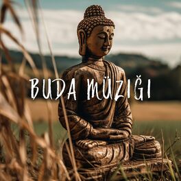 Album cover of Buda Müziği: Şifa Meditasyonu, Farkındalık Uygulaması, Budist Barışı