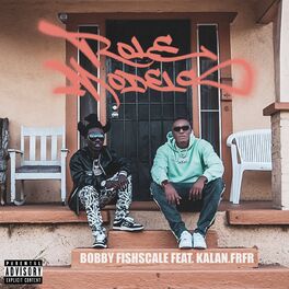 Album cover of Role Models