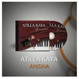 Album cover of Anısına