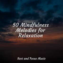 Album cover of 50 Mindfulness Melodies for Relaxation