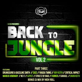 Album cover of Back to Jungle, Vol. 2 (Pt. 3)