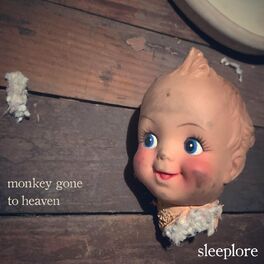 Album cover of Monkey Gone to Heaven