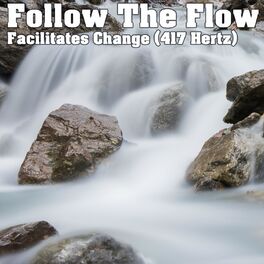Album cover of Facilitates Change (417 Hertz)