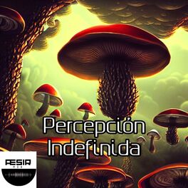 Album cover of Percepción Indefinida (feat. Darpress, Nightcore Ichiban, Nightcore Red, Nightcore Hits, Nightcore High, Nightcore Reality, Nightc
