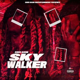 Album cover of Skywalker