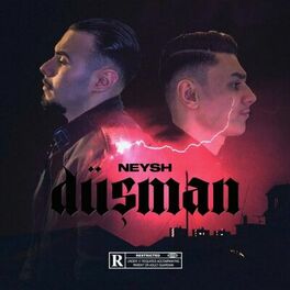 Album cover of Düsman