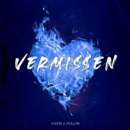 Album cover of Vermissen