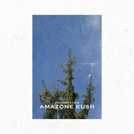 Album cover of Amazone Kush