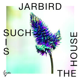 Album cover of Such Is The House