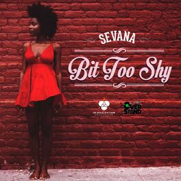 Album cover of Bit Too Shy -Single
