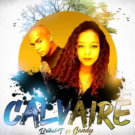 Album cover of Calvaire